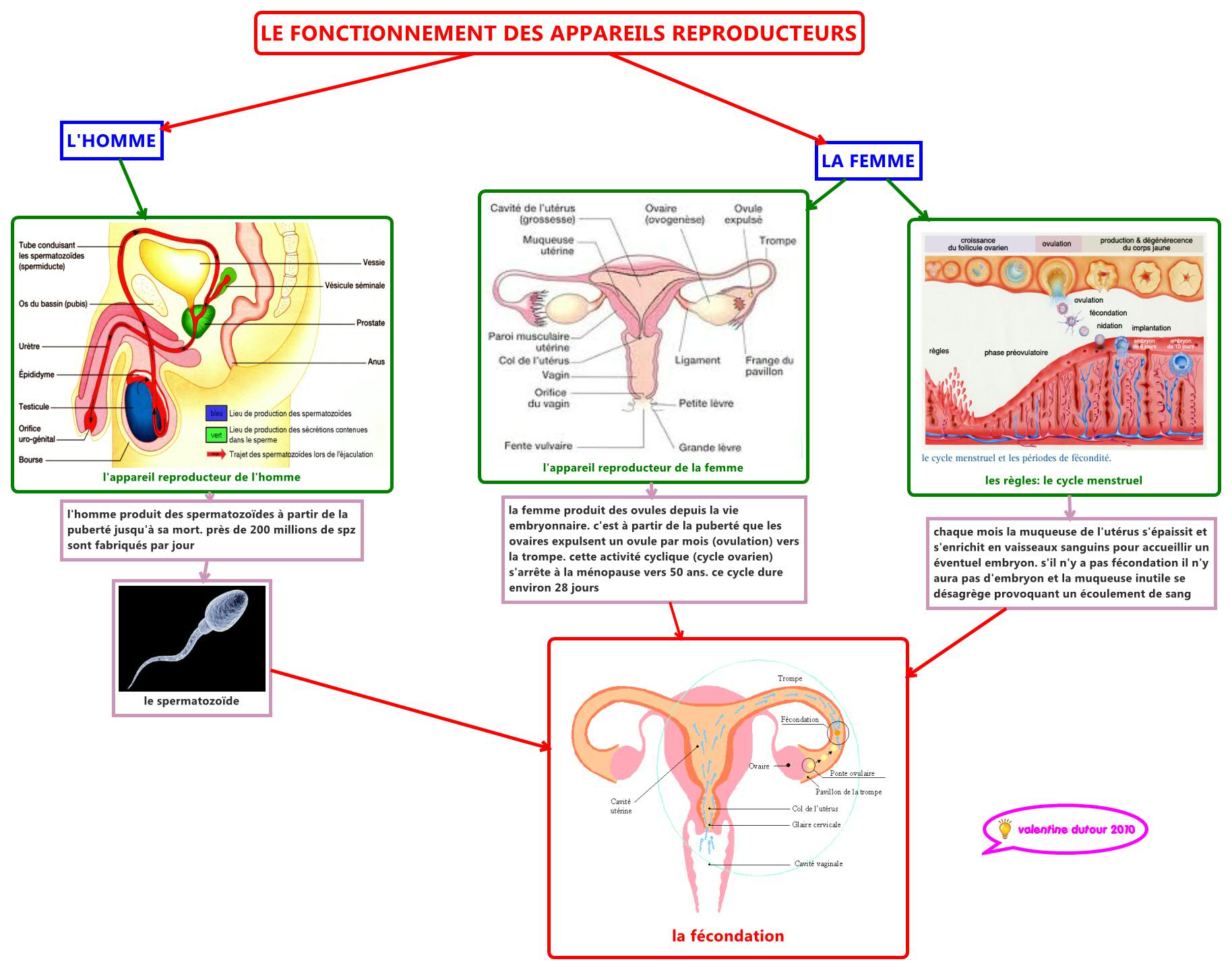 Thumbnail of mind map