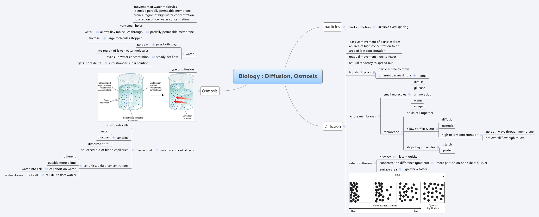 Thumbnail of mind map