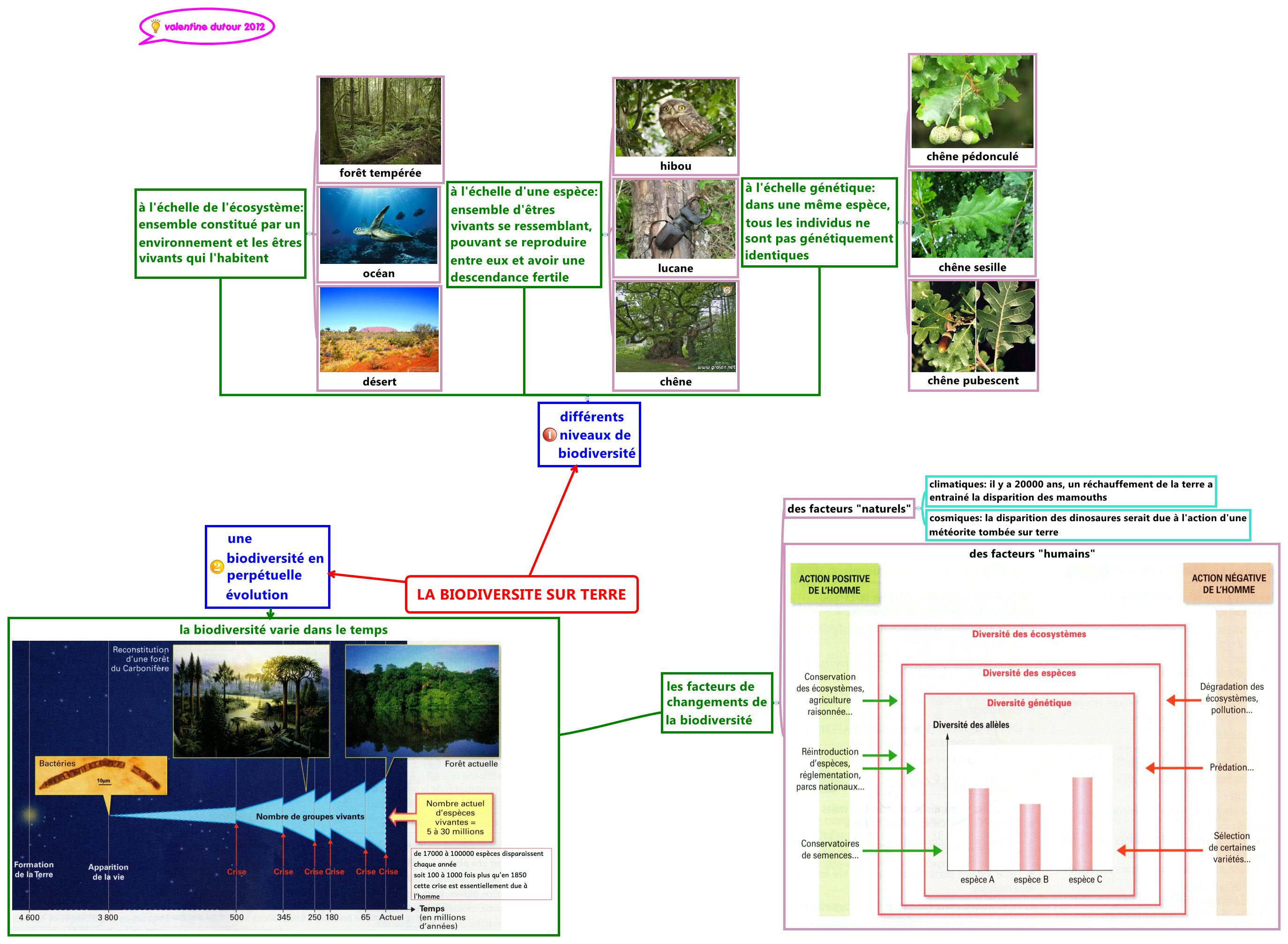 Thumbnail of mind map