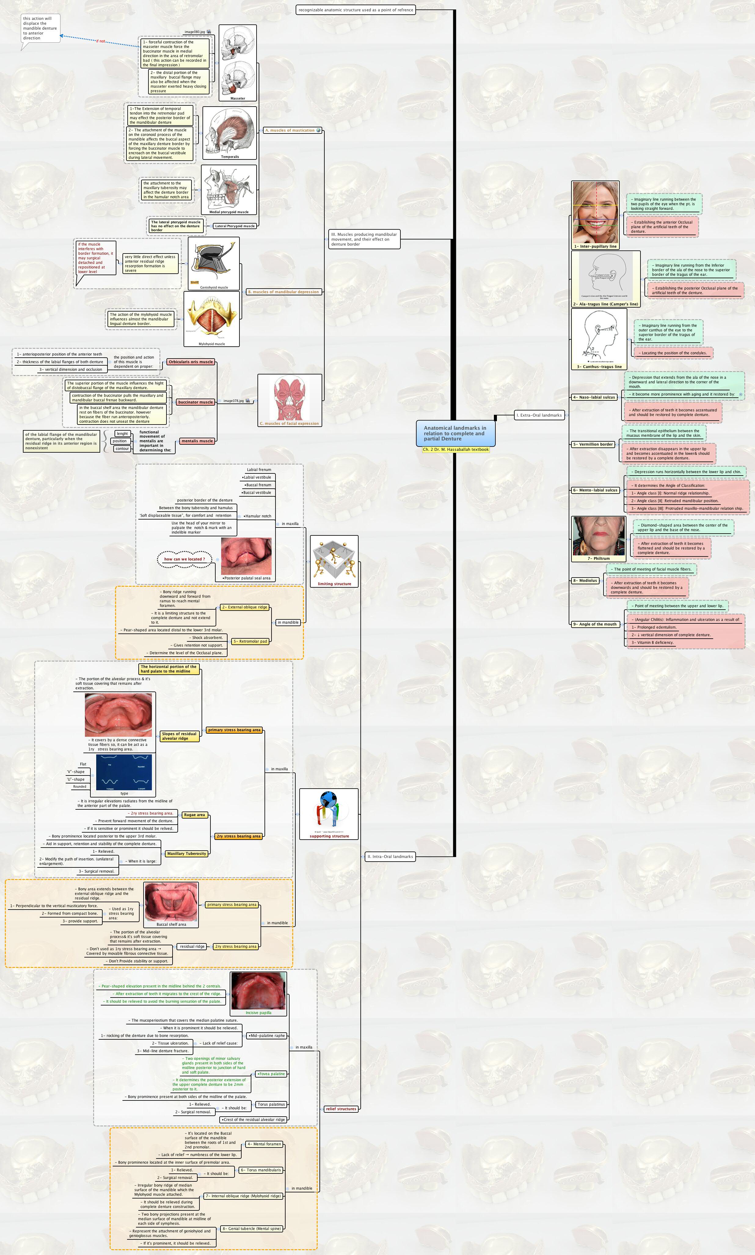 Thumbnail of mind map