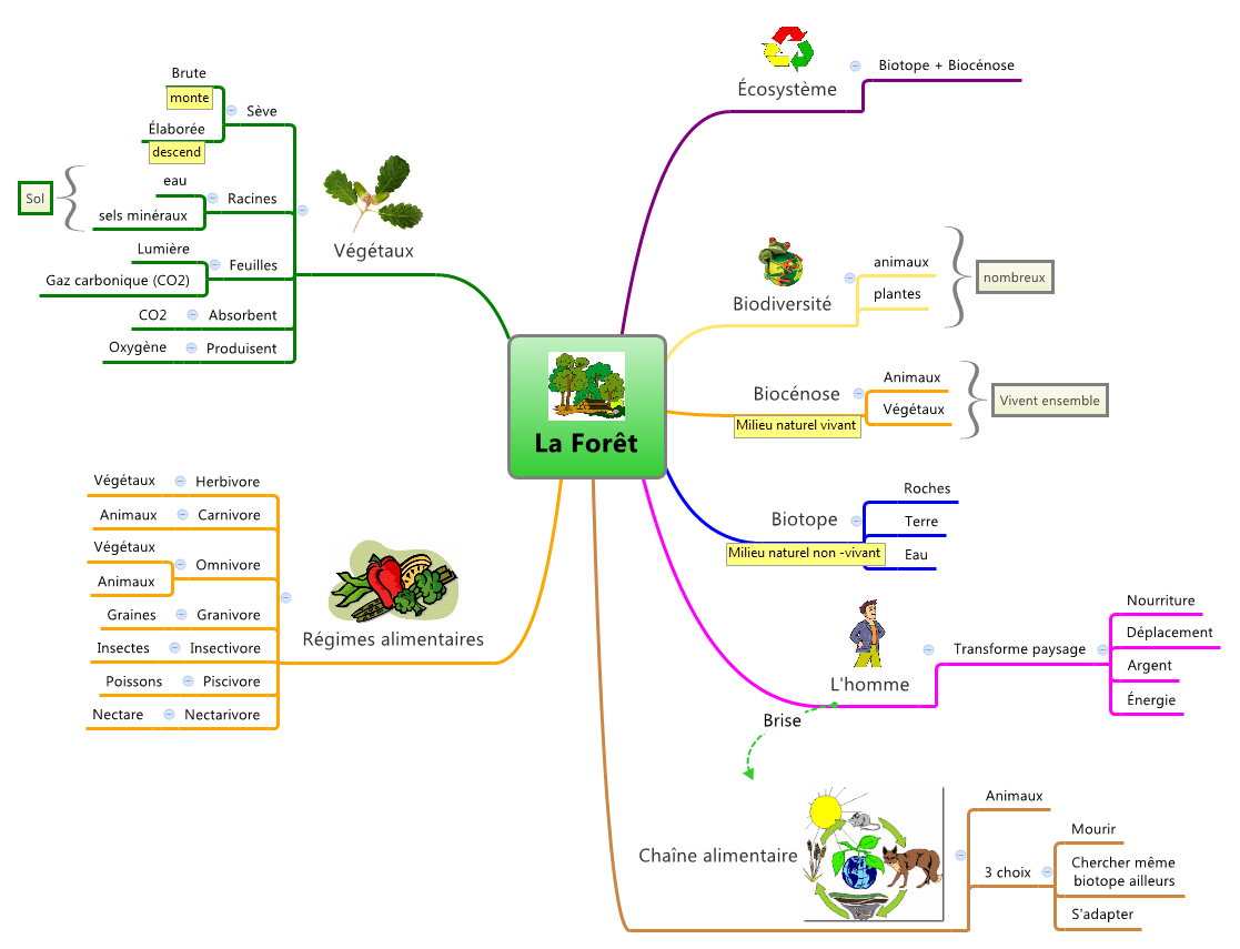 Thumbnail of mind map