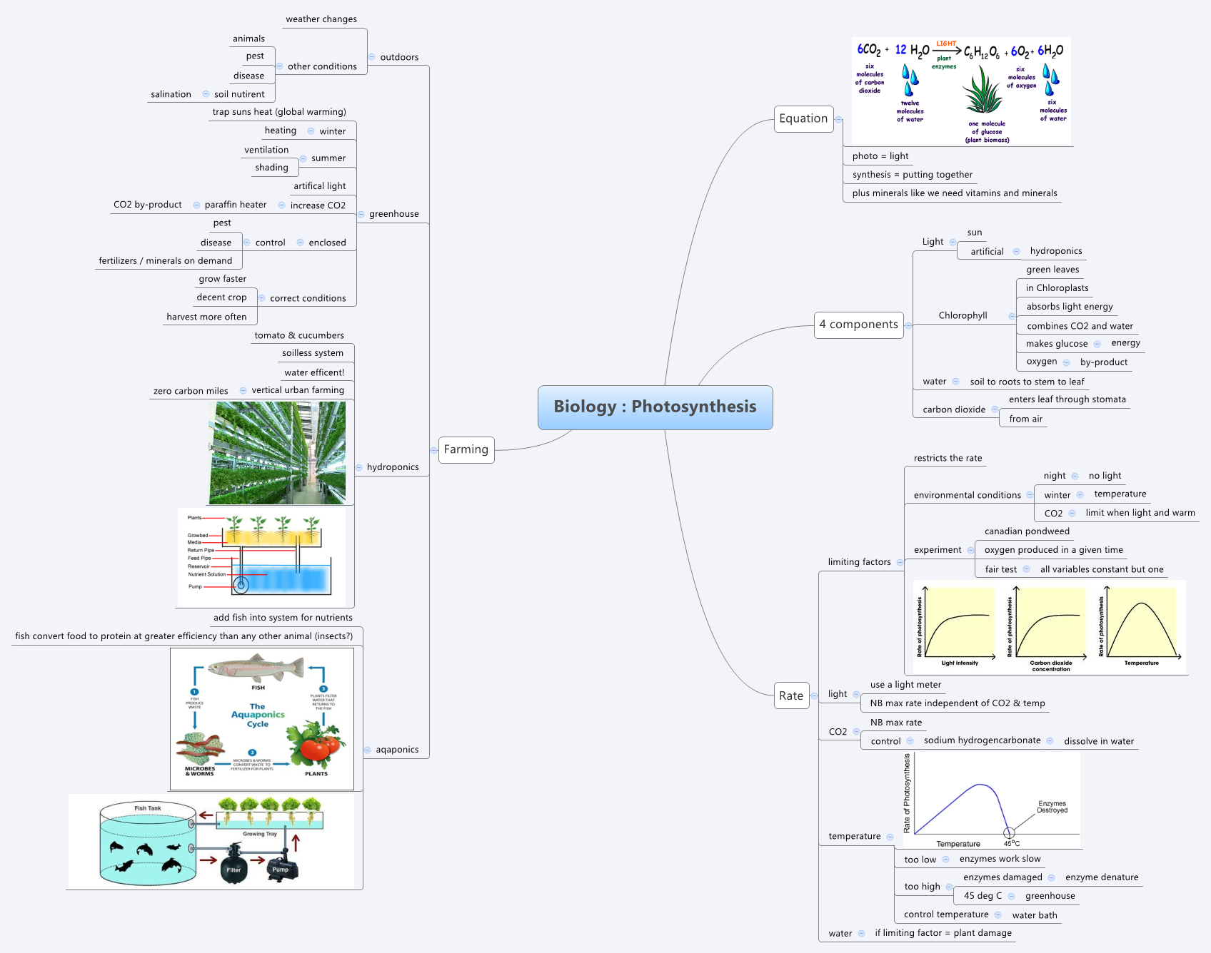Thumbnail of mind map