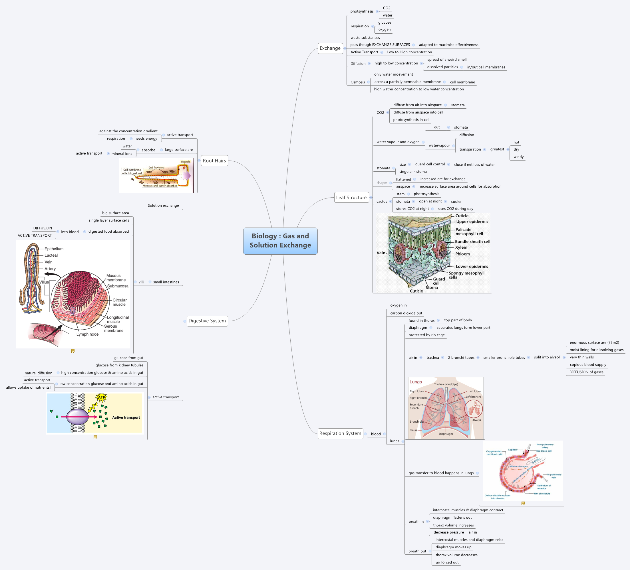 Thumbnail of mind map
