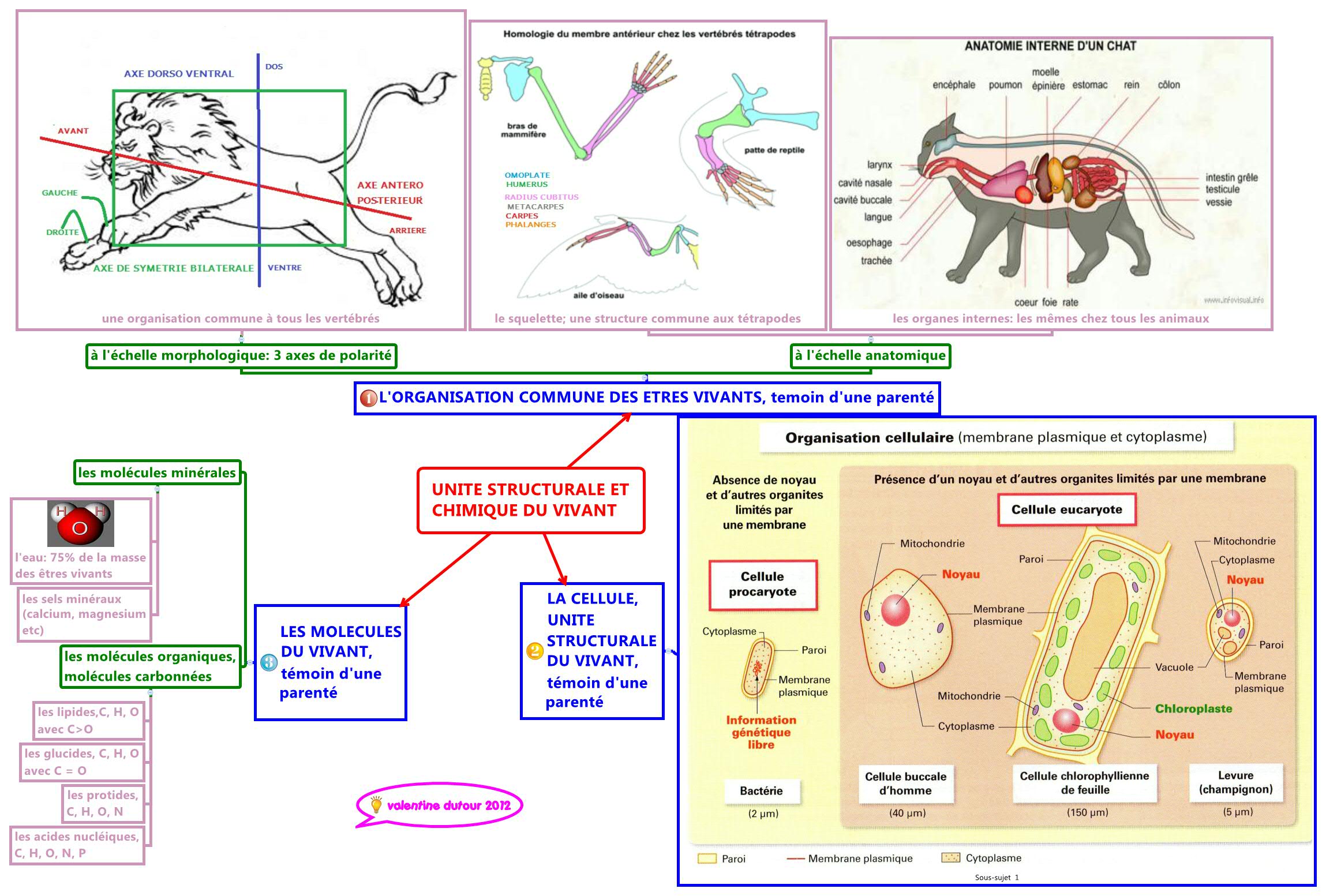 Thumbnail of mind map