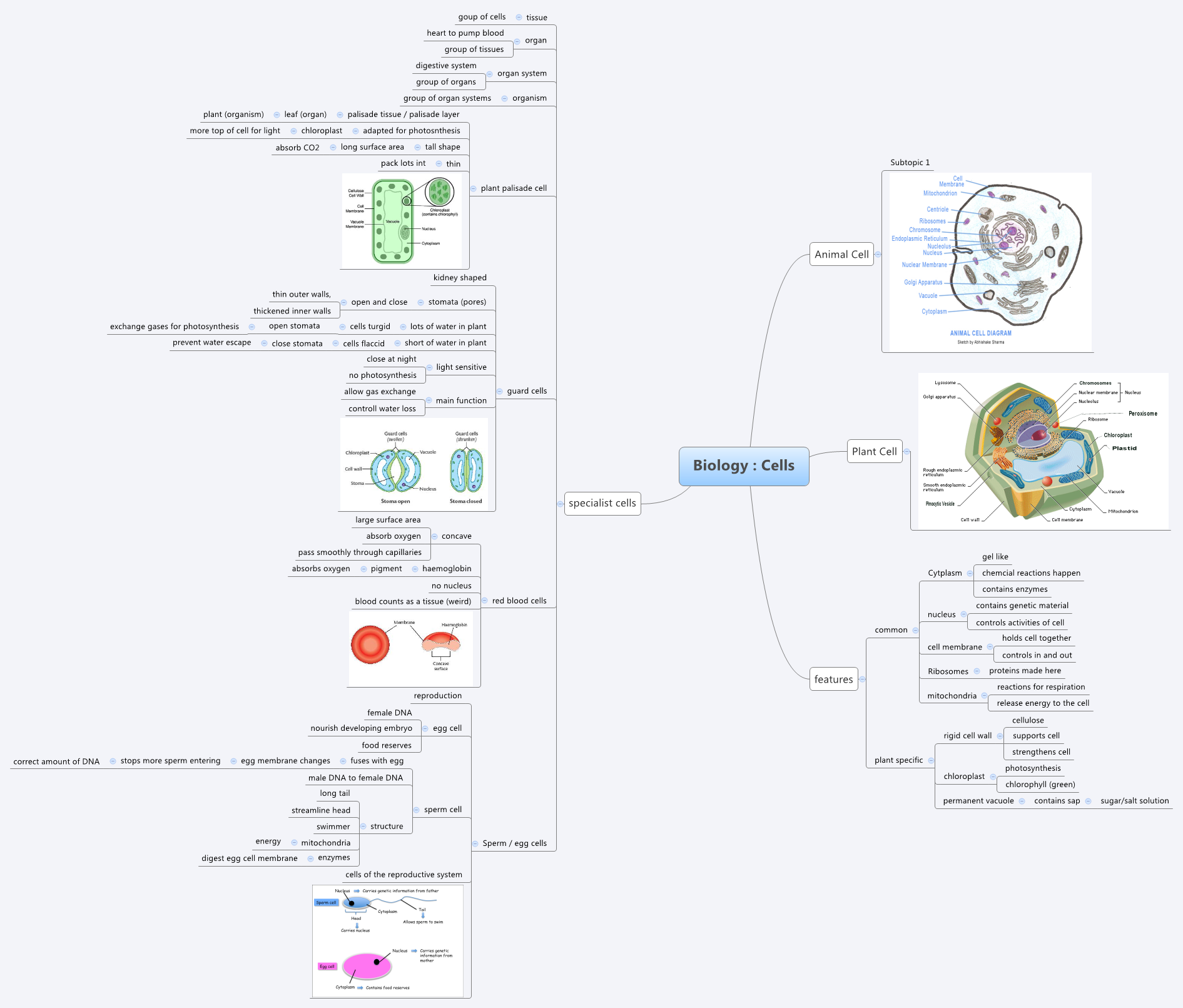 Thumbnail of mind map