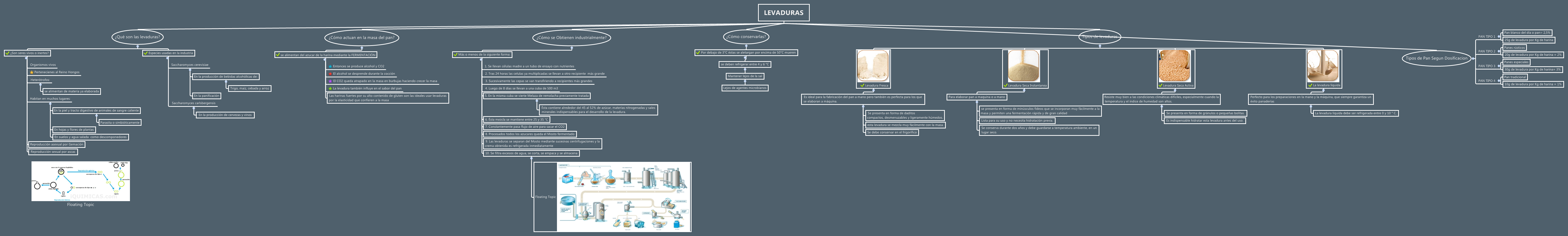 Thumbnail of mind map