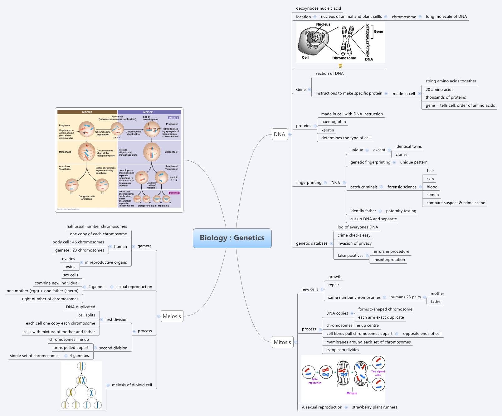 Thumbnail of mind map