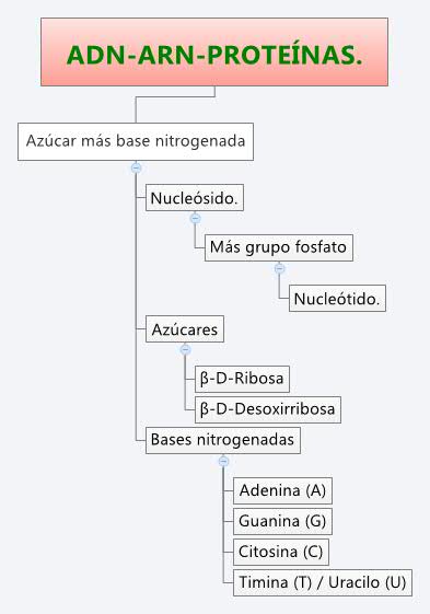 Thumbnail of mind map