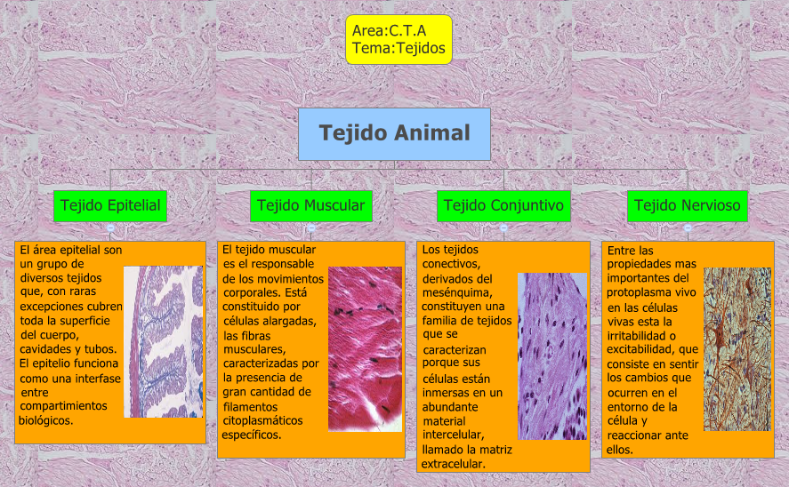 Thumbnail of mind map