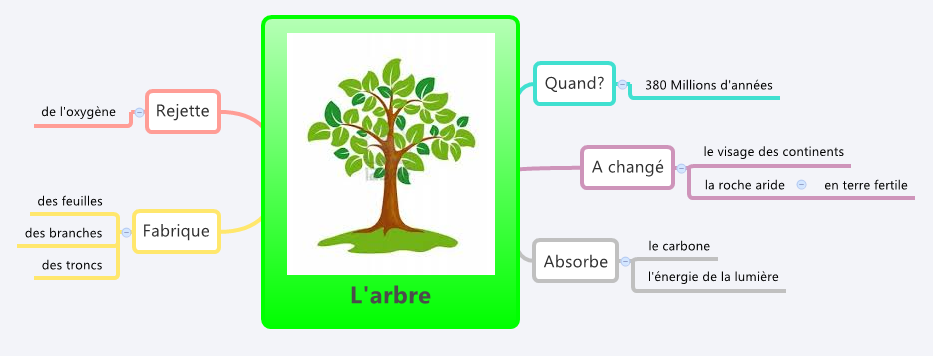Thumbnail of mind map