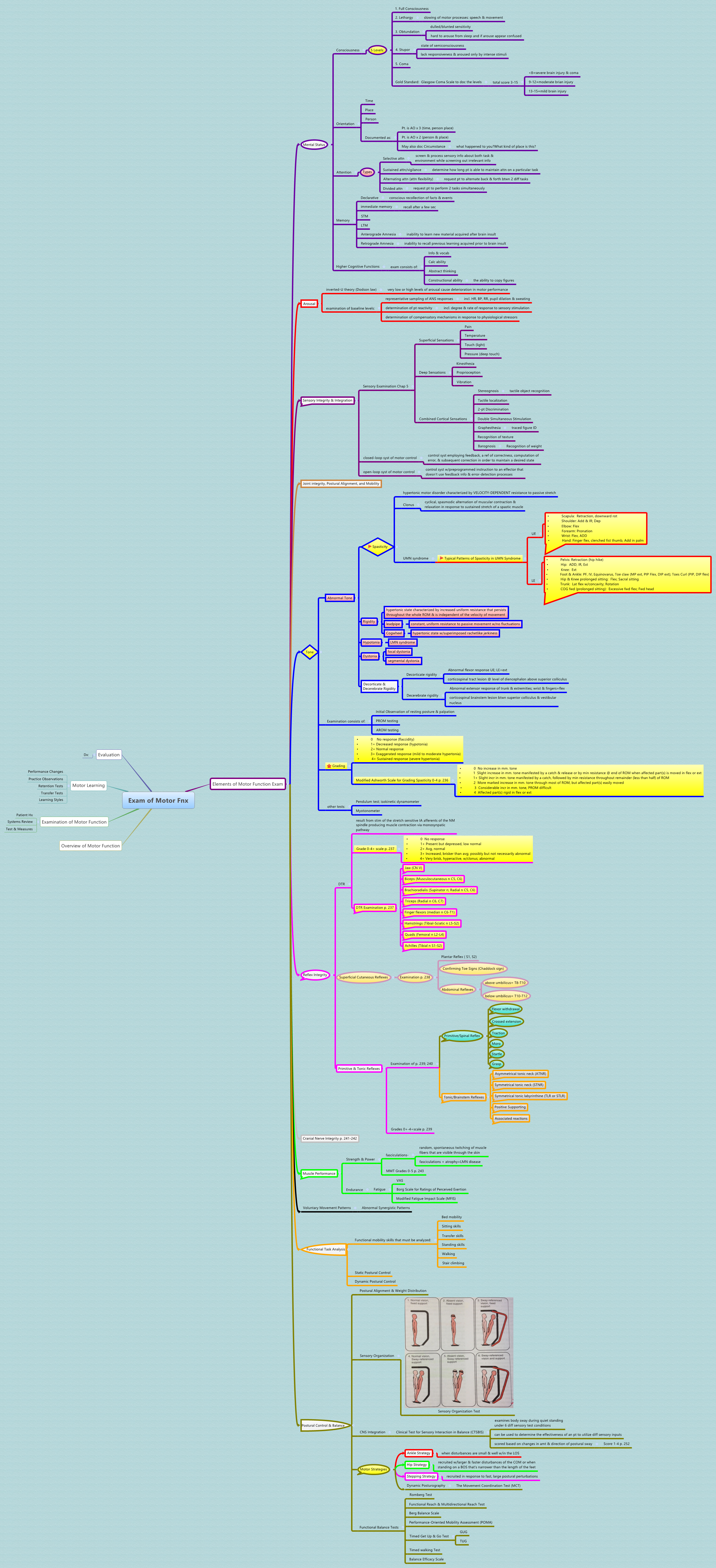 Thumbnail of mind map