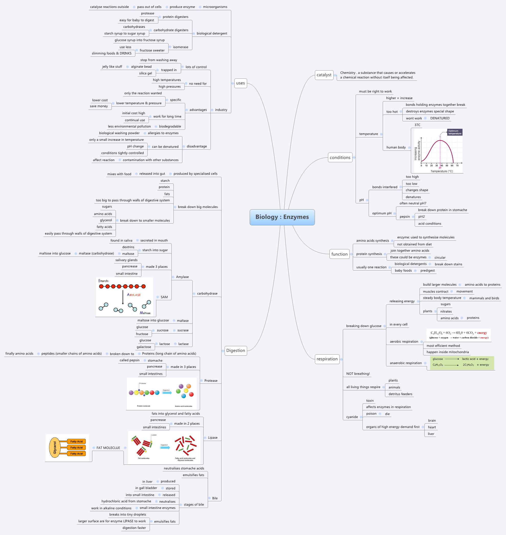 Thumbnail of mind map