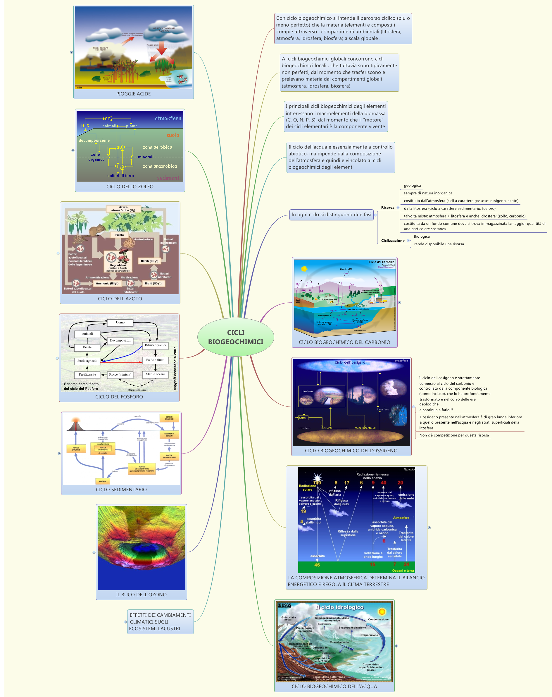 CICLI BIOGEOCHIMICI
