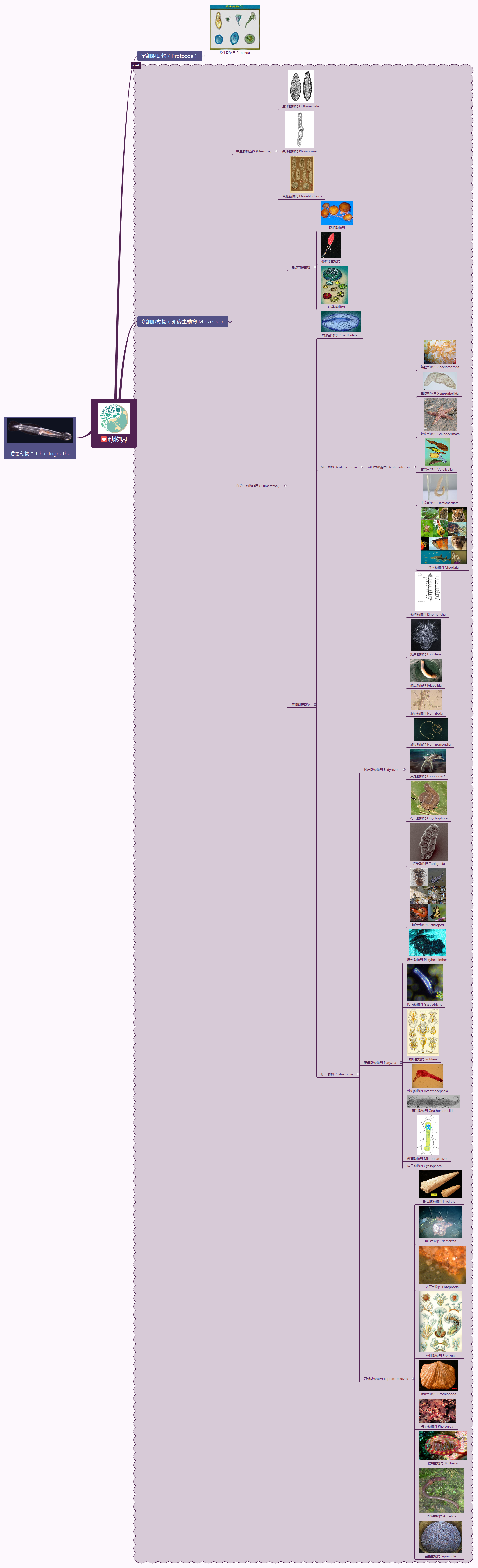 Thumbnail of mind map