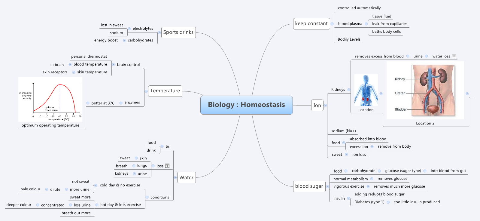 Thumbnail of mind map