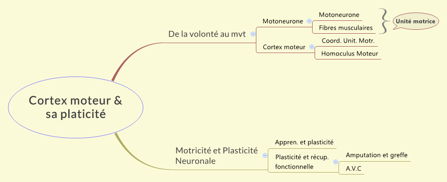 Thumbnail of mind map