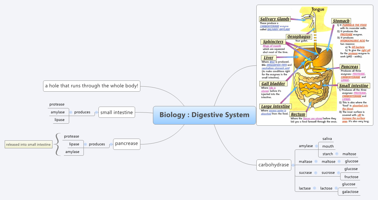 Thumbnail of mind map