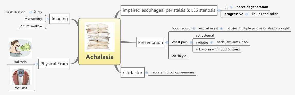 Thumbnail of mind map