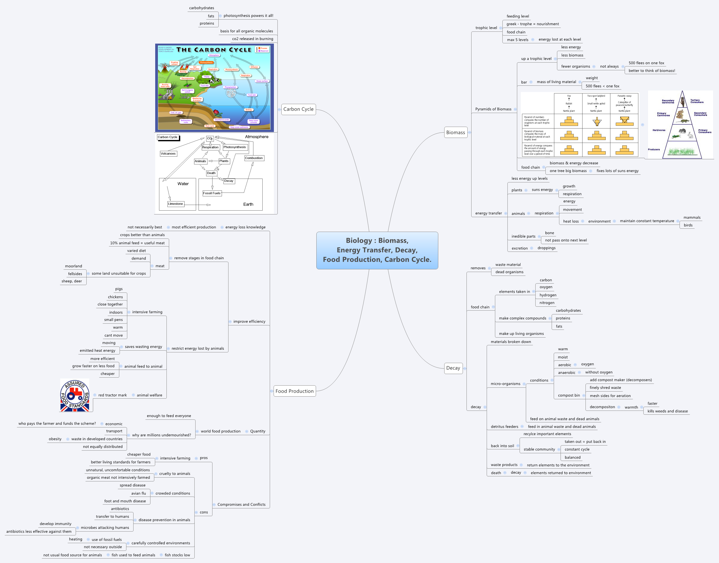 Thumbnail of mind map