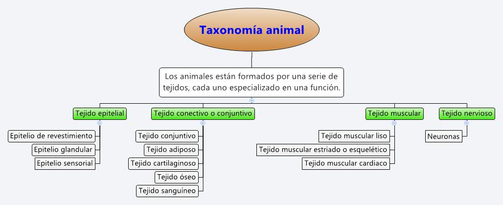 Thumbnail of mind map