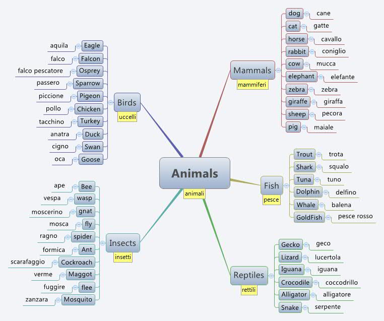 Thumbnail of mind map