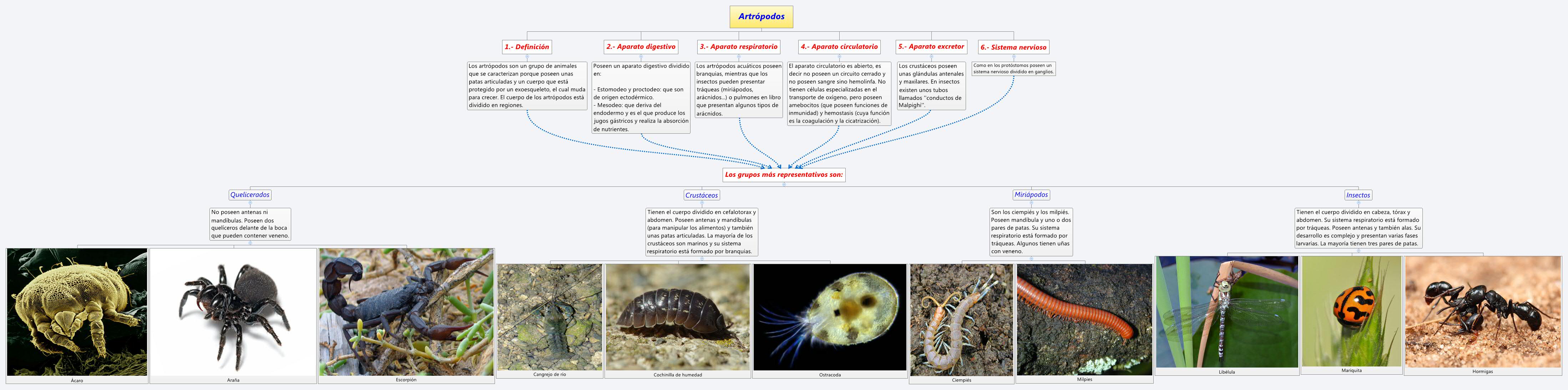 Thumbnail of mind map