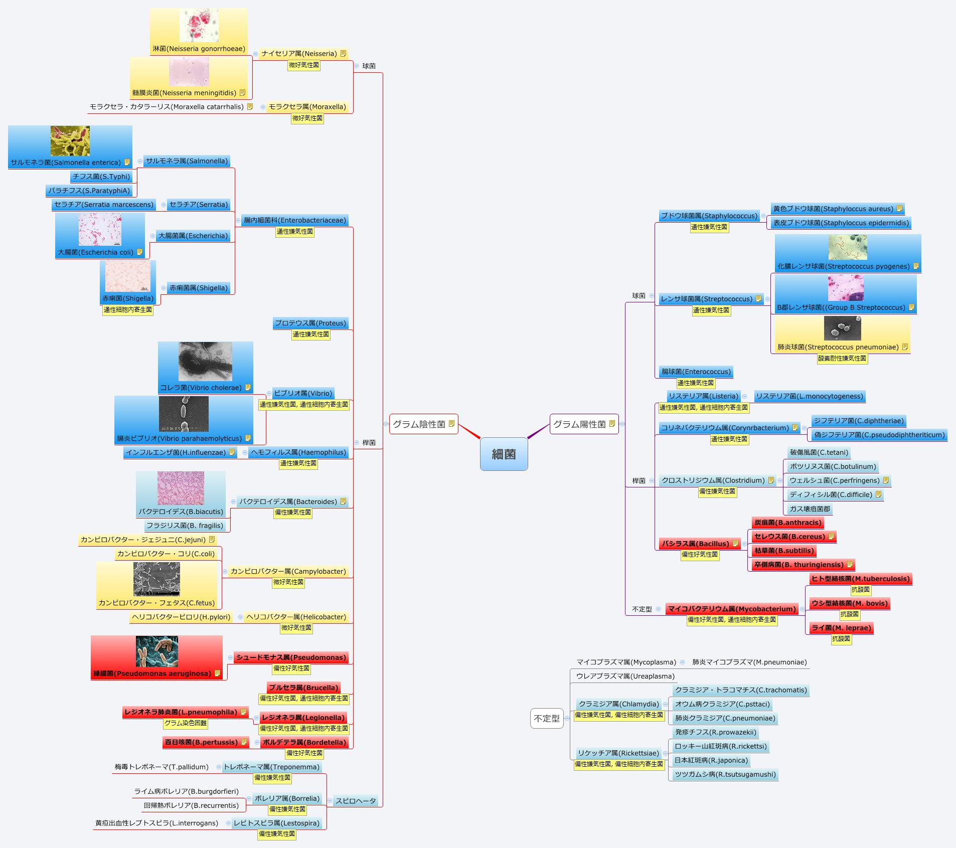 Thumbnail of mind map
