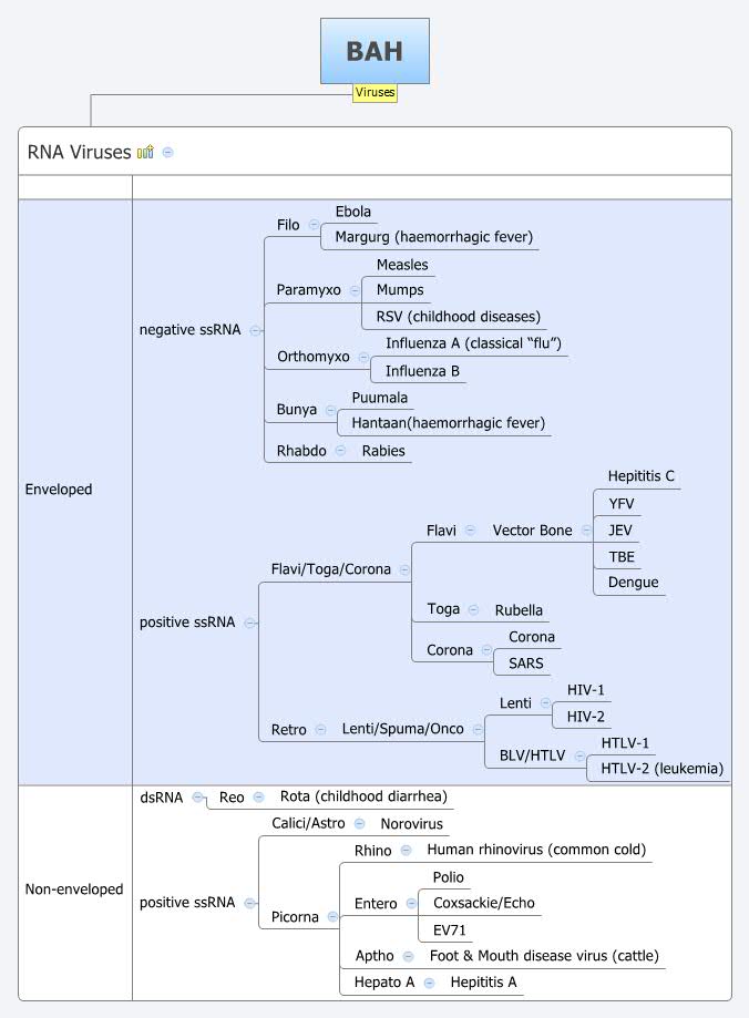 Thumbnail of mind map