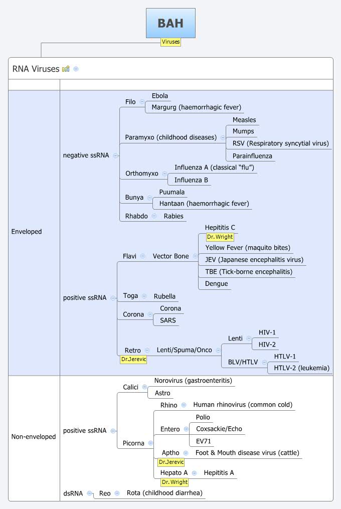Thumbnail of mind map