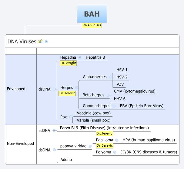 Thumbnail of mind map