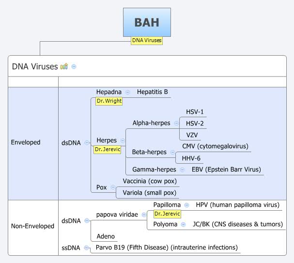 Thumbnail of mind map