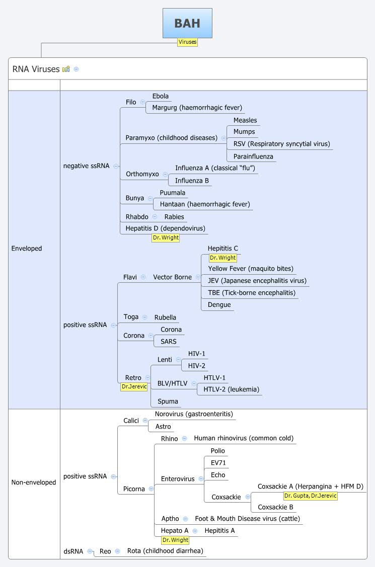 Thumbnail of mind map