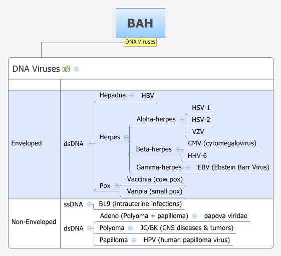 Thumbnail of mind map