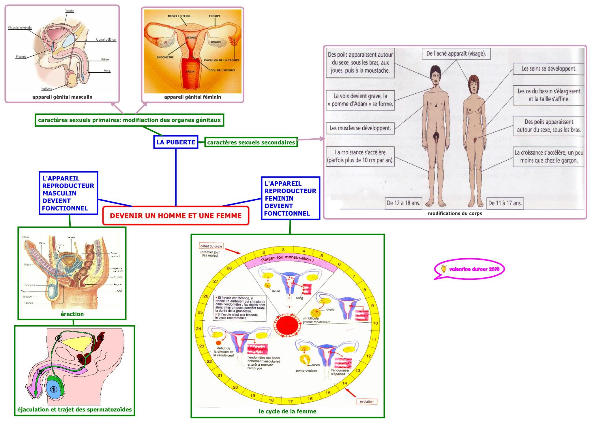 Thumbnail of mind map