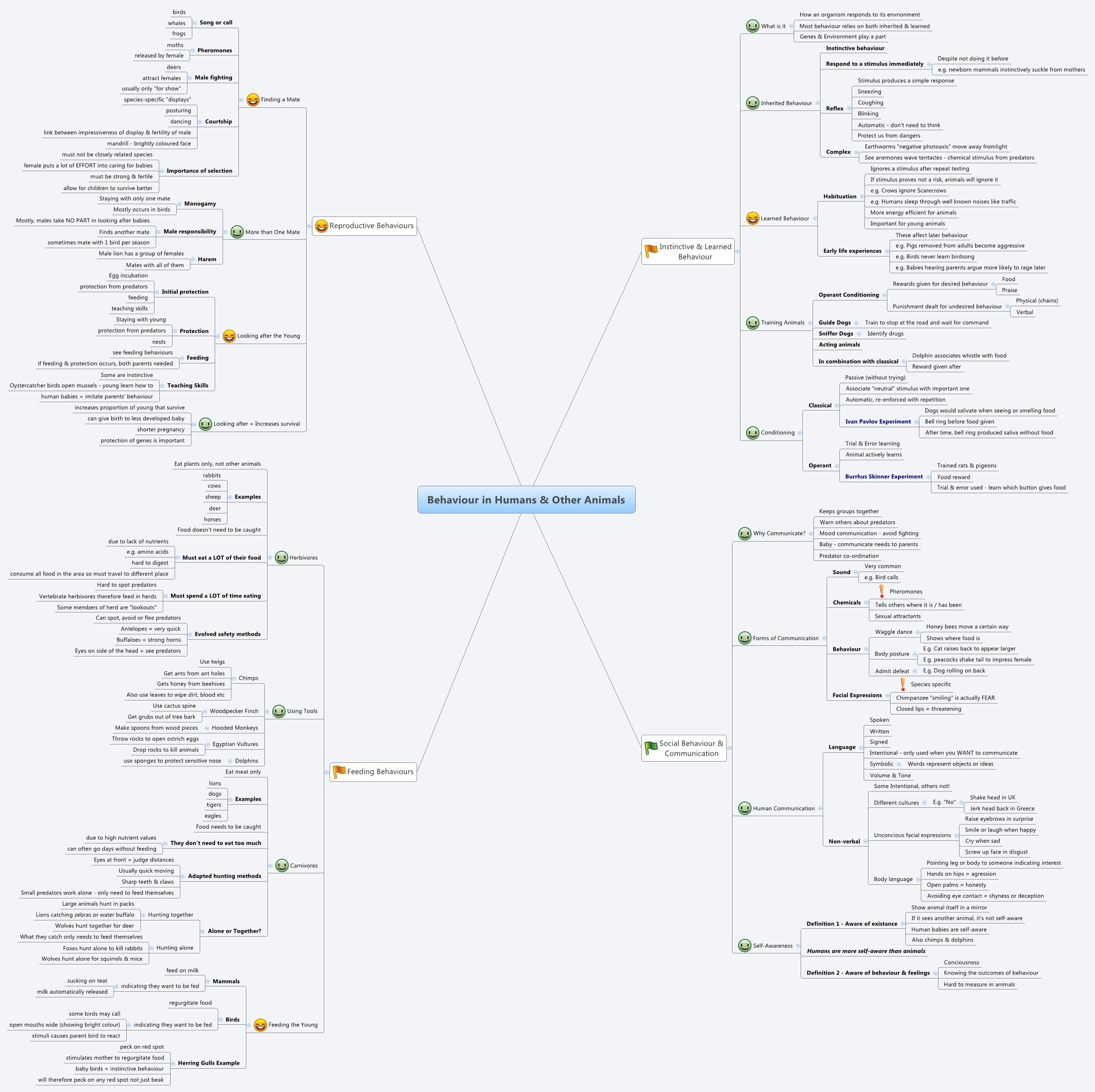  思维导图的缩略图
