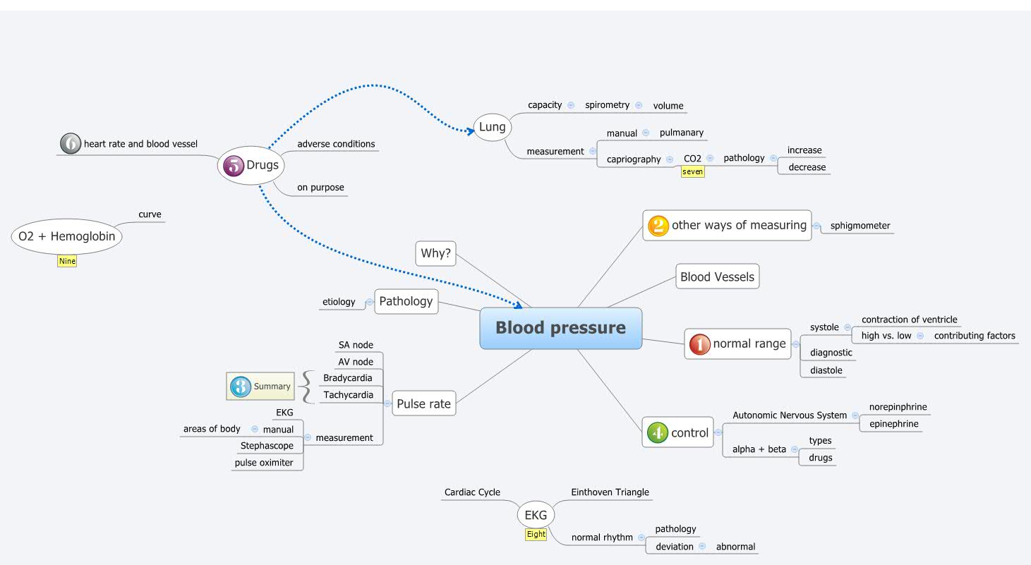Thumbnail of mind map