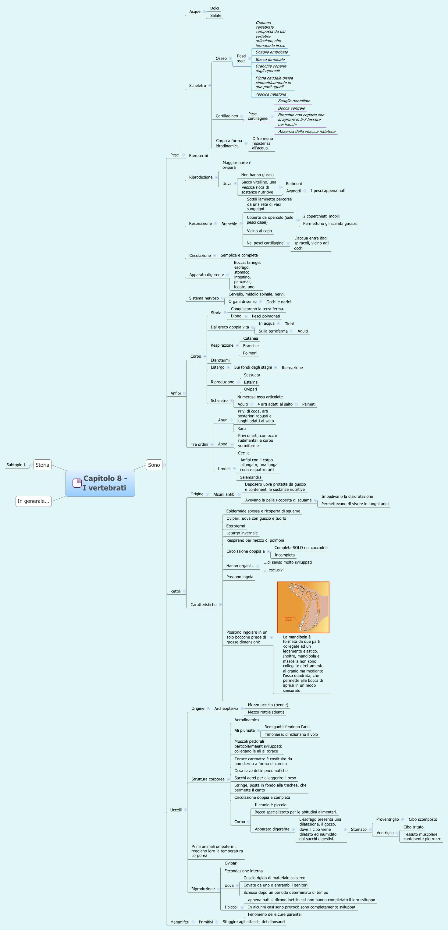 Thumbnail of mind map