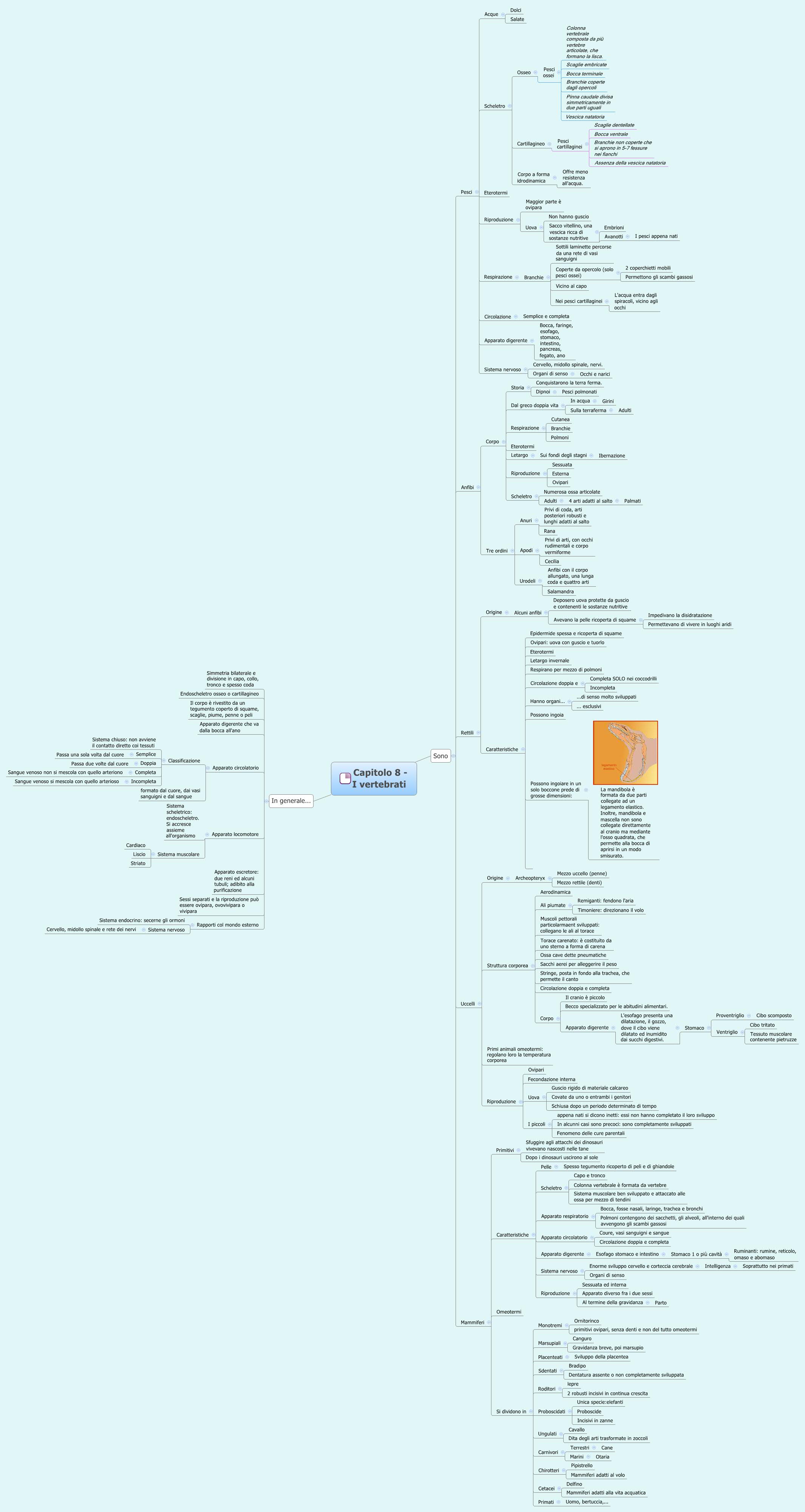 Thumbnail of mind map