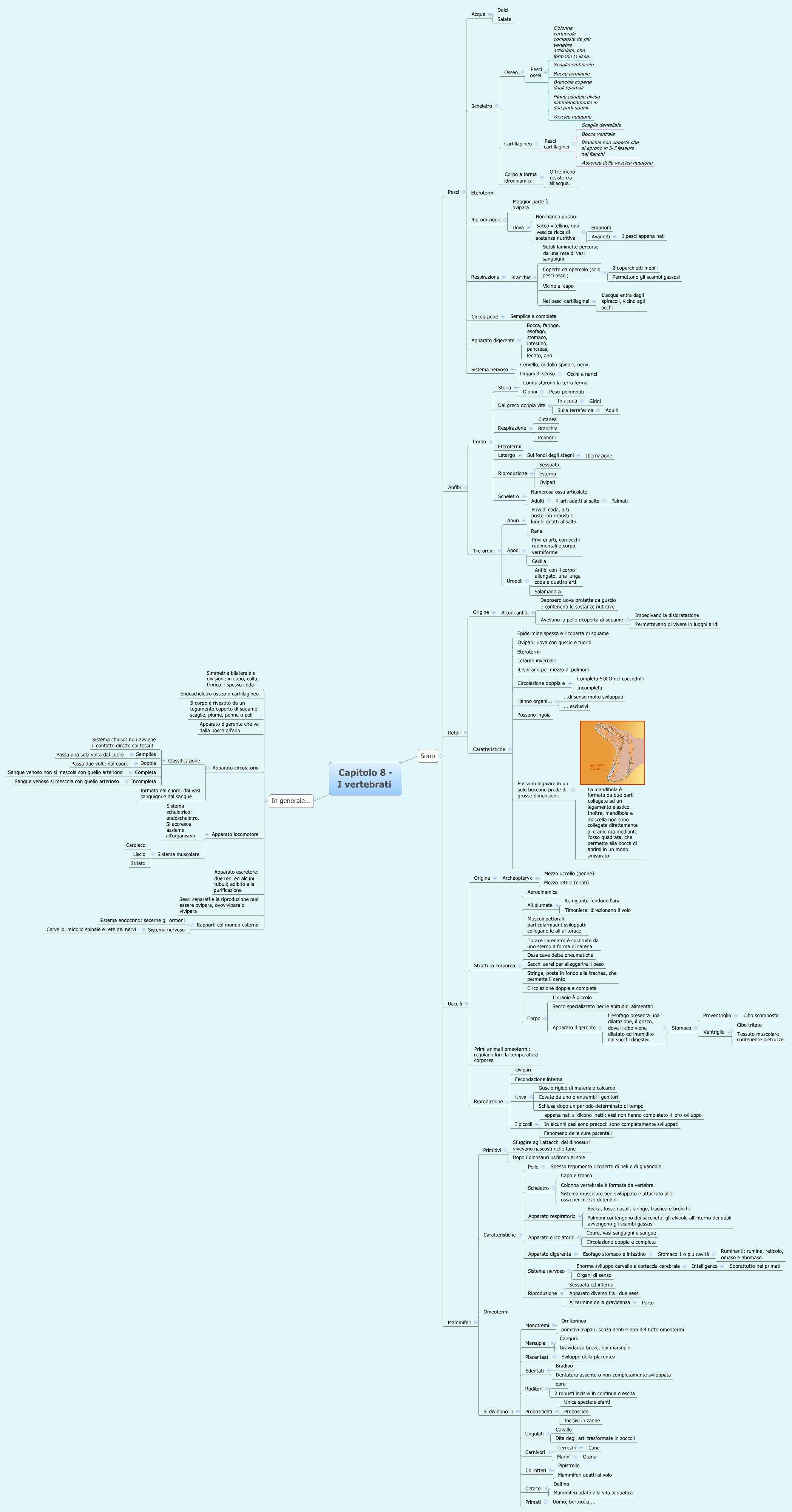 Thumbnail of mind map
