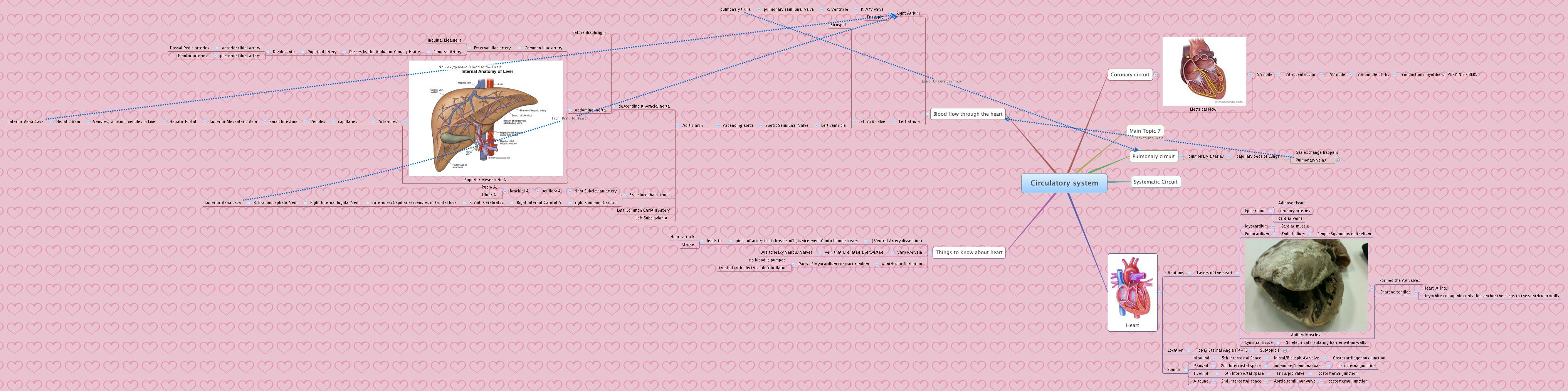 Thumbnail of mind map