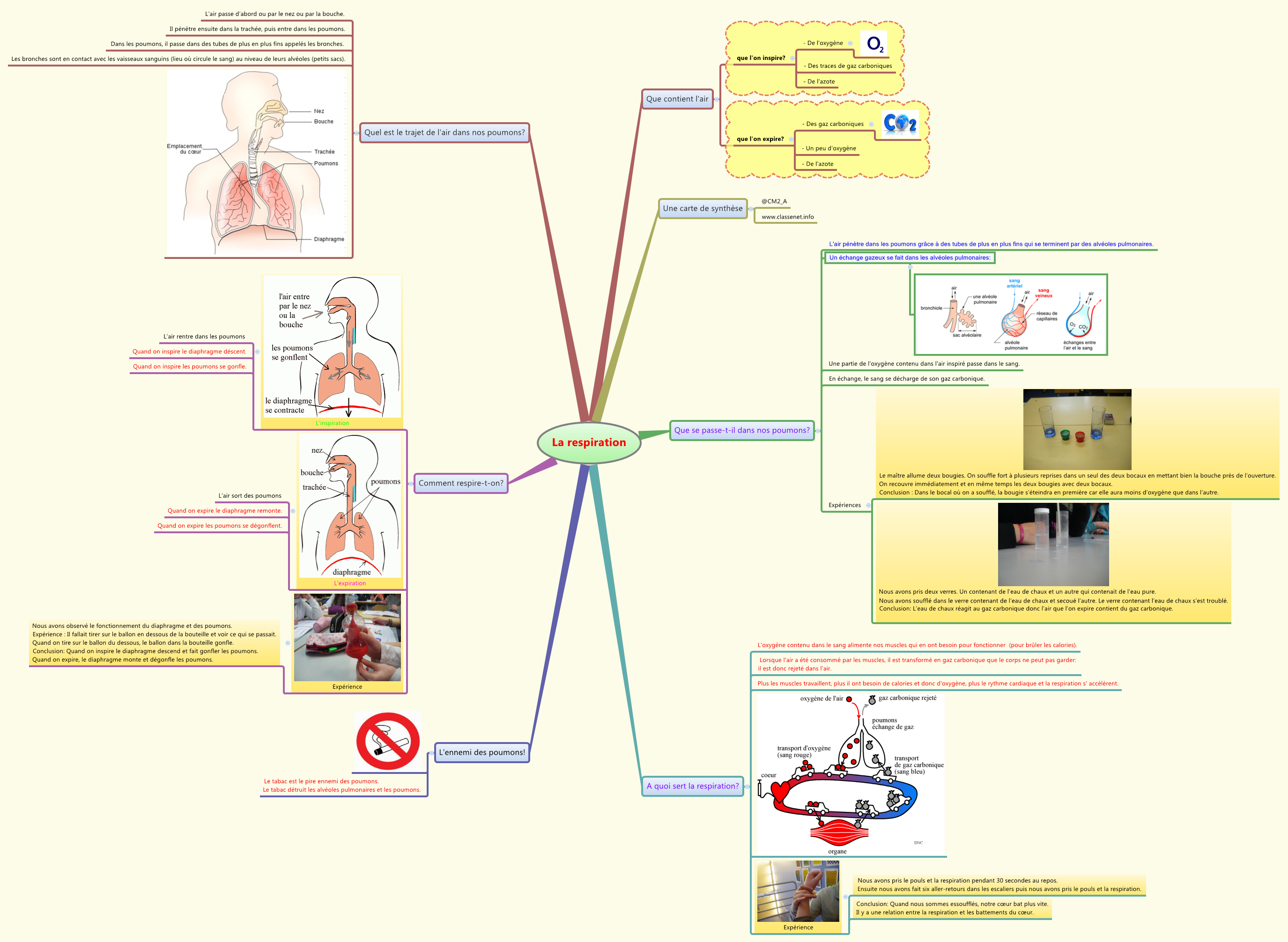 Thumbnail of mind map