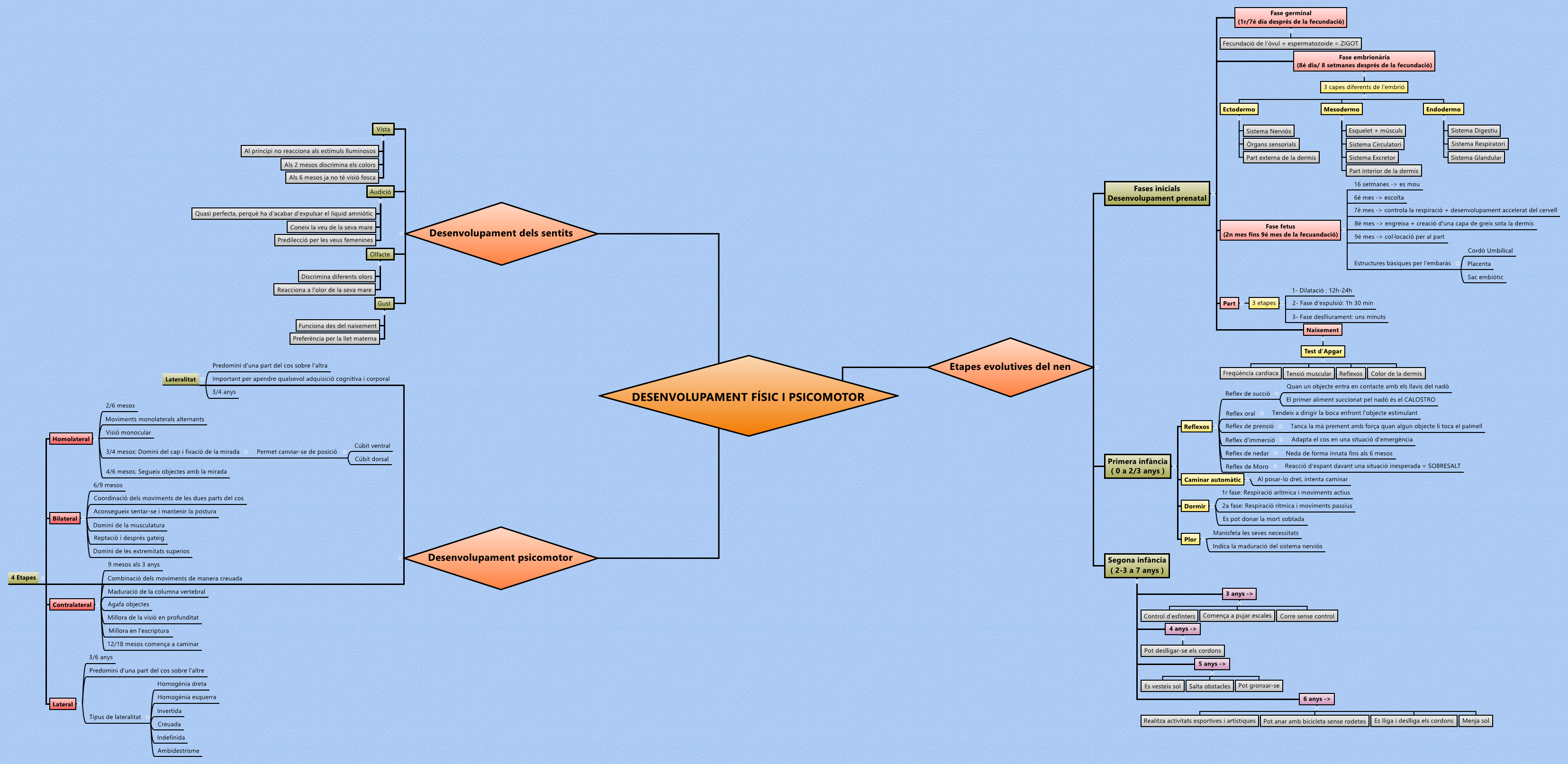 DESENVOLUPAMENT FÍSIC I PSICOMOTOR