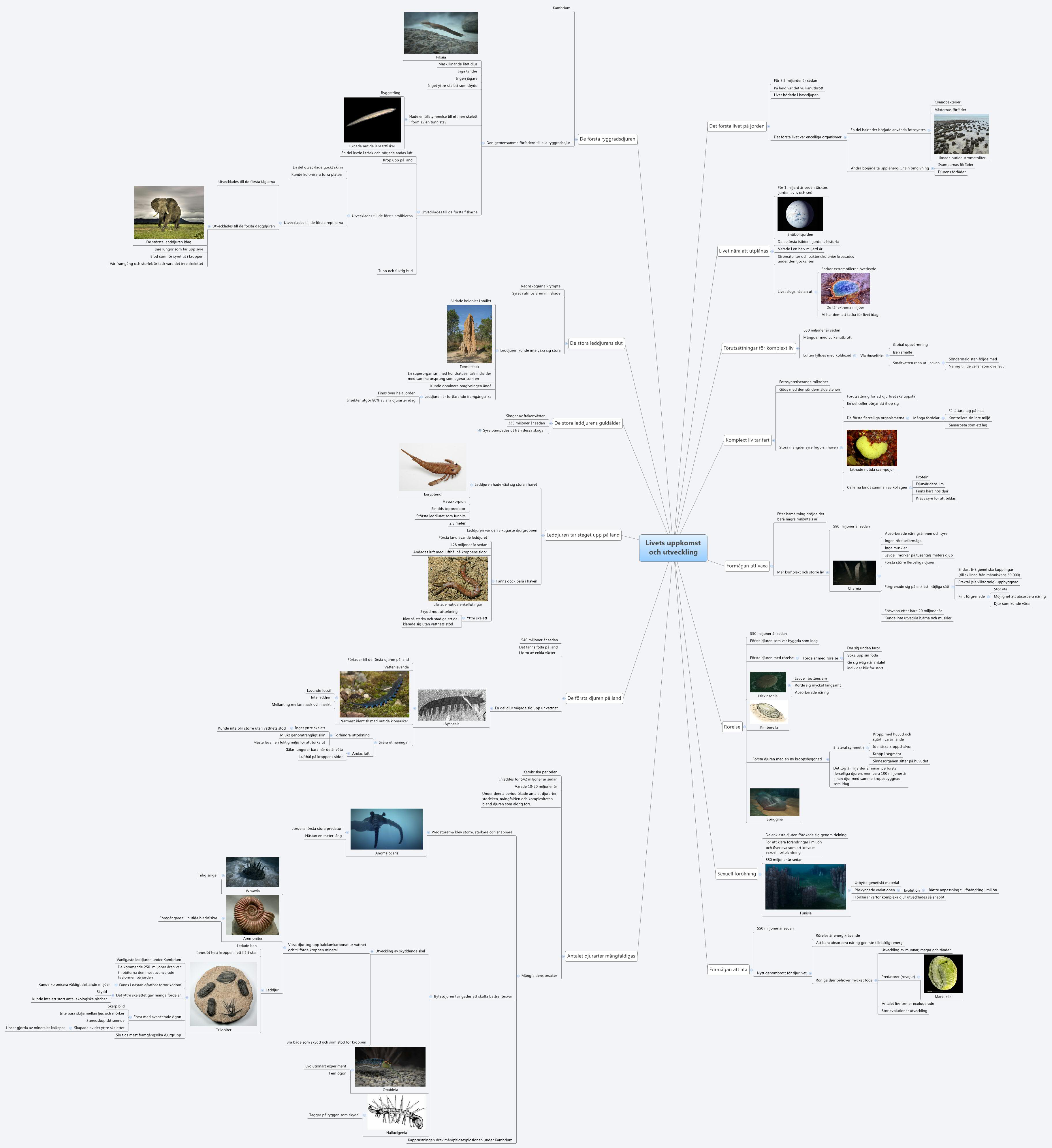 Livets uppkomst
                och utveckling