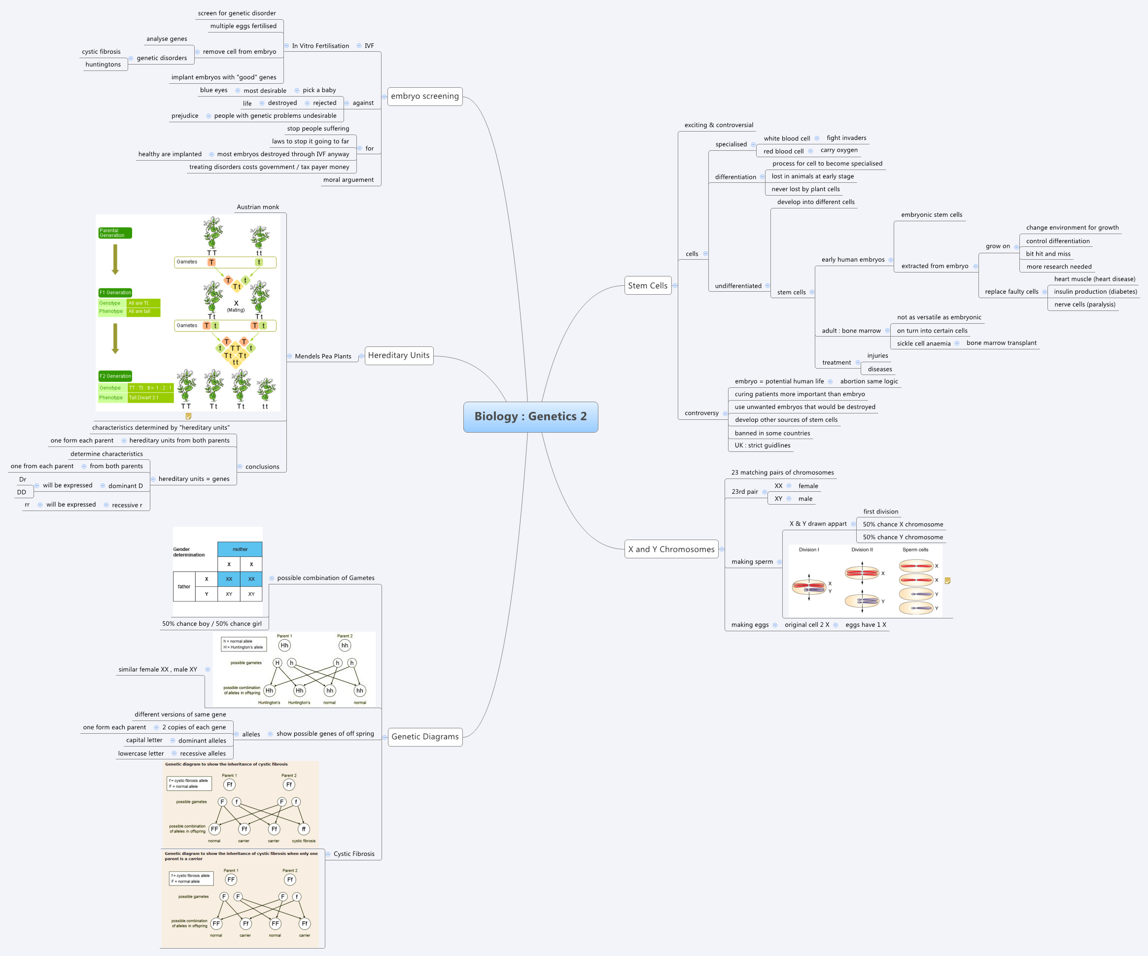 Thumbnail of mind map