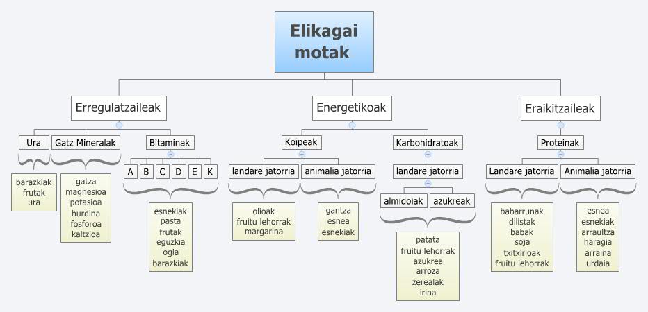 Elikagai motak 