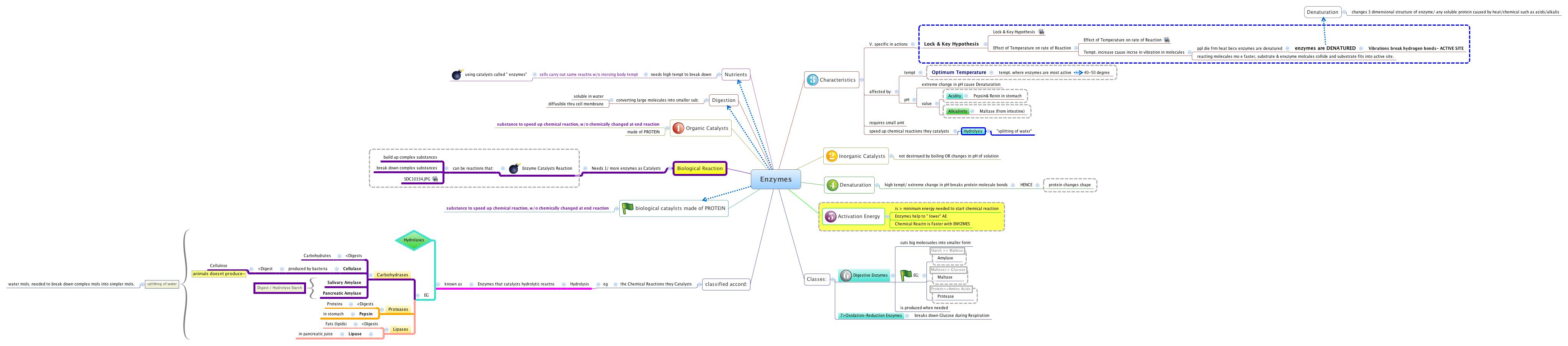 Thumbnail of mind map