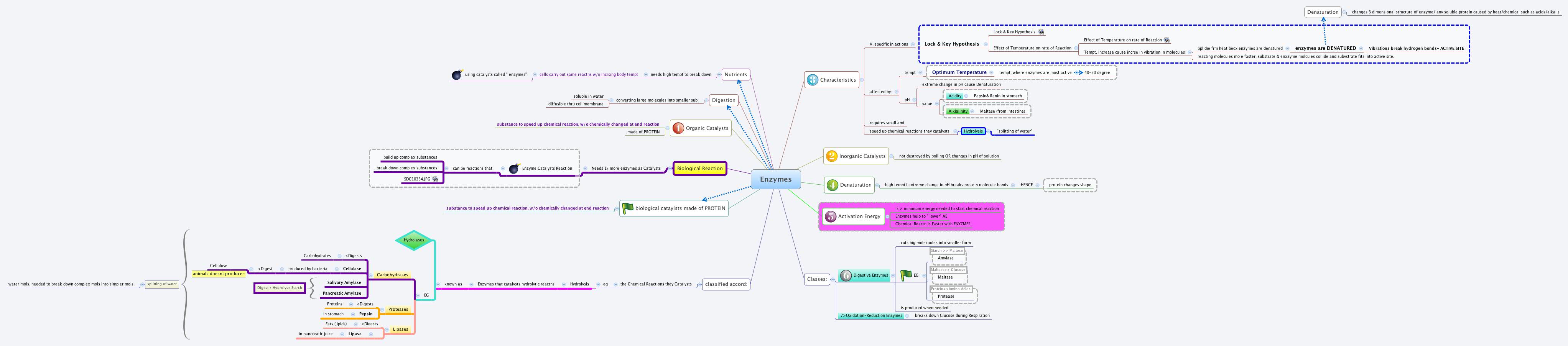 Thumbnail of mind map