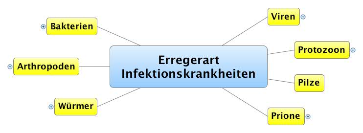 Thumbnail of mind map