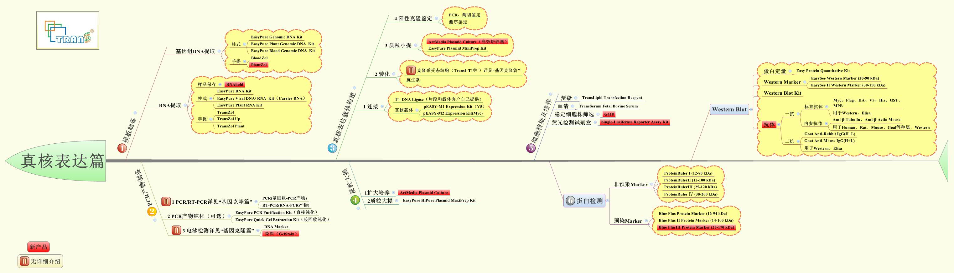 Thumbnail of mind map