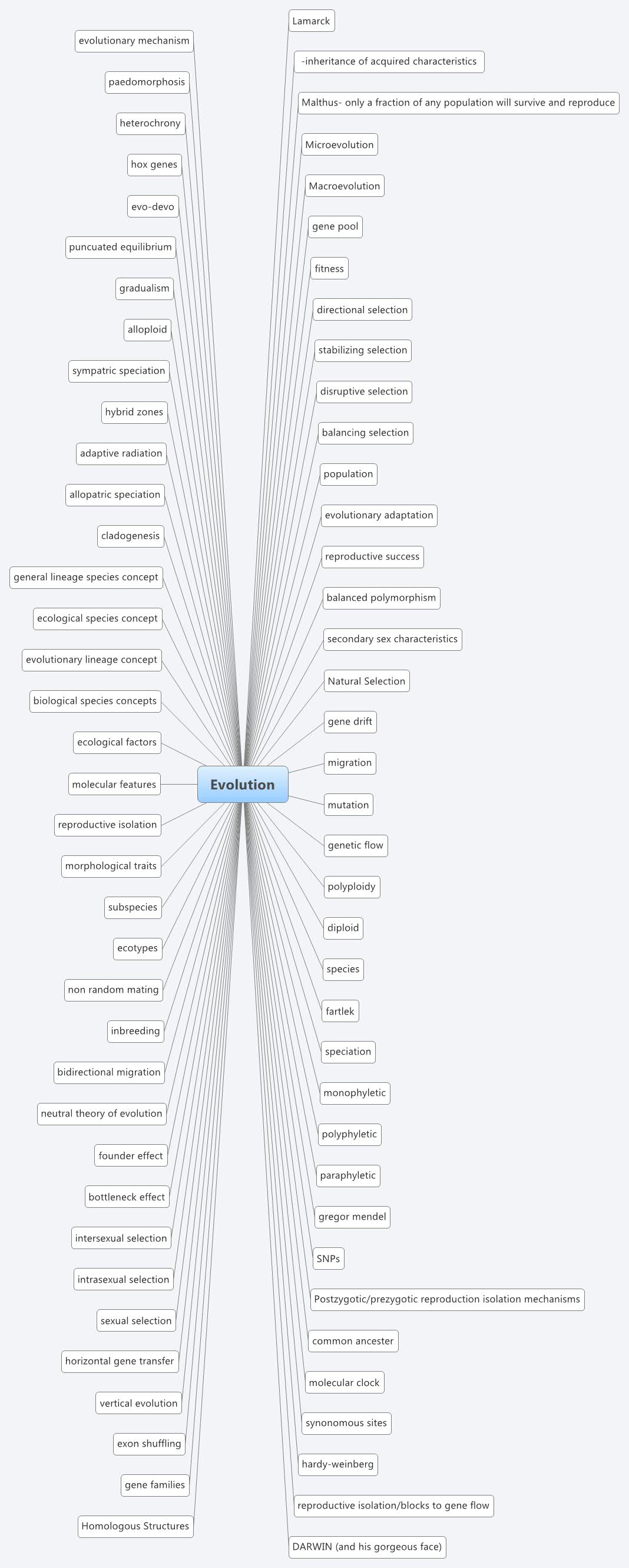 Evolution Xmind Mind Mapping App